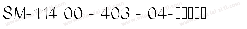 SM-114 00 - 403 - 04字体转换